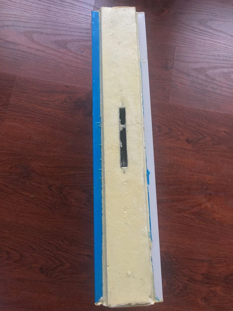 Walk in Freezer PU Panel best